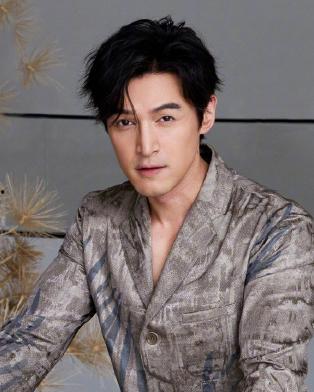 女演员爆料胡歌视频是真的吗,胡歌视频爆料真实性探讨