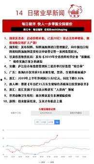 给新闻写爆料给多少钱  第1张